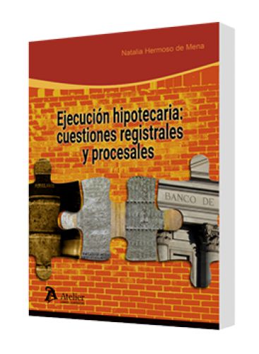 EJECUCIÓN HIPOTECARIA: CUESTIONES REGIS..